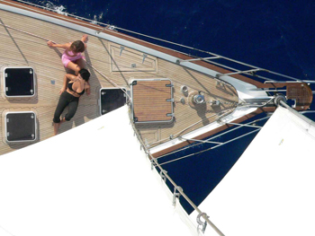 Miaplacidus -  Bow from above.bmp